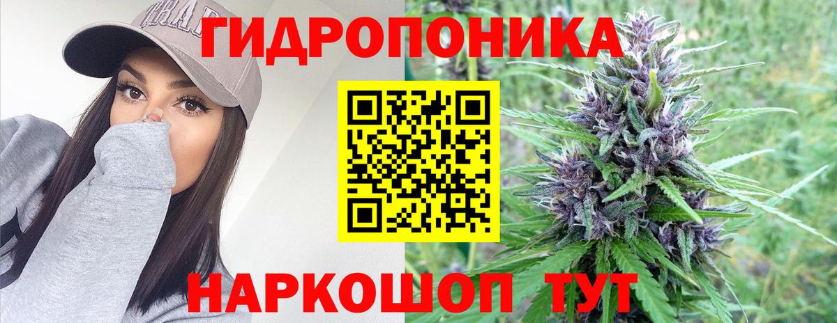 Шишки марихуана Amnesia  Шишки марихуана сатива  Вход с VPN  Конопля OG Kush  Коммунар  Шишки марихуана гибрид 